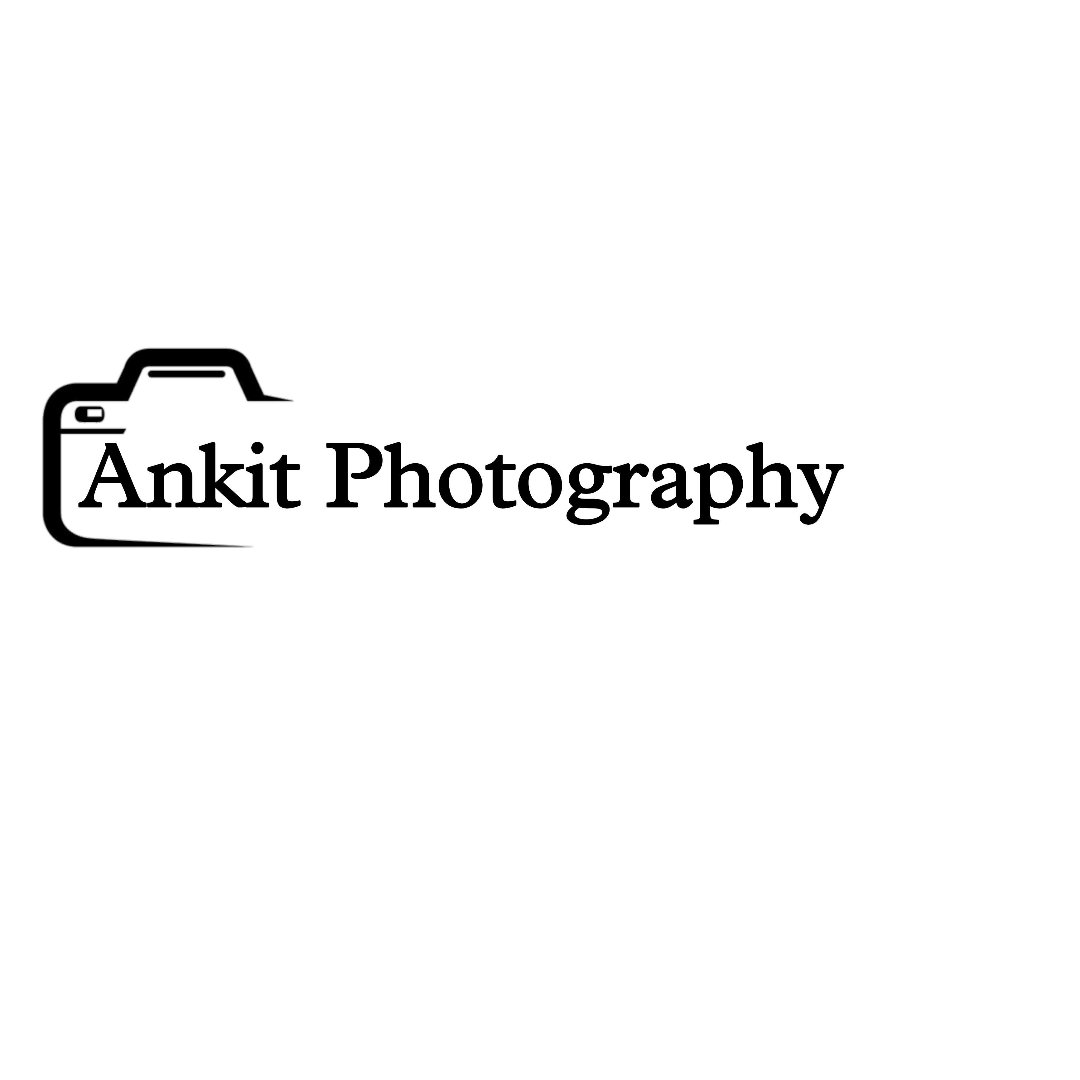 Ankit and Lucy | Indian Wedding Celebration at the Portland Art Museum —  Peter Mahar Photography